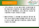 수영 - 각 종목의 자세 6페이지