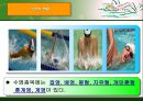 수영 - 각 종목의 자세 8페이지