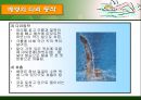 수영 - 각 종목의 자세 11페이지