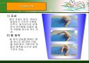 수영 - 각 종목의 자세 17페이지