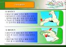 수영 - 각 종목의 자세 18페이지