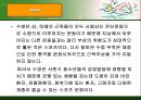 수영 - 각 종목의 자세 23페이지