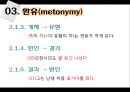 [국어학 개론] 인지의미론 [은유 환유 영상도식 다의 정신 공간 Langacker의 인지 문법] 47페이지
