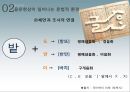 [국어학개론] 음운론 [음운단위 음운현상 음운변동 음운변화] 30페이지
