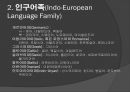 언어와 역사 - 세계의 어족과 언어 8페이지