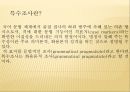 특수조사 3페이지