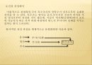 특수조사 11페이지