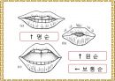 음운론 [음운단위 음성 음소 변이음 분절음 음절 음운체계 자음체계 모음체계 이중모음 변별자질 음운현상] 31페이지