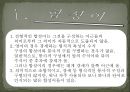 언어의 단어 구조 - 형태론 25페이지