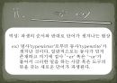 언어의 단어 구조 - 형태론 29페이지