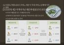 카지노 산업카지노 산업 해외카지노 산업카지노 업체 현황카지노이용객 현황카지노 매출액 현황카지노 시장 동향마카오 카지노라스베이거스 카지노 73페이지