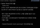 미적 리더쉽 Artistic leadership 46페이지