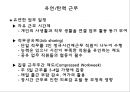 직무분석 & 직무설계 60페이지