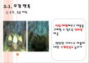 쑥뜸기 체험 판매사업계획서 51페이지