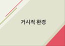 오미자음료 신제품 마케팅 전략 4페이지