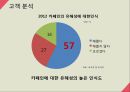 오미자음료 신제품 마케팅 전략 14페이지