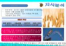 하이트맥주 마케팅전략 26페이지
