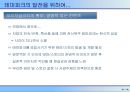 테마파크 개발의 이해 93페이지