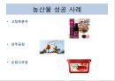 하림 마케팅성공사례분석 31페이지