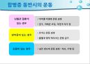 당뇨병 환자 자가관리 31페이지