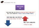 기업의 독과점 48페이지