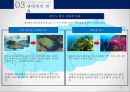 지구온난화생태계의 변화사막화 현상빙하의 융해해수면 상승해양생태계의 변화지구온난화의 원인산림 생태계의 변화 15페이지