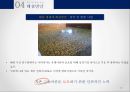 지구온난화생태계의 변화사막화 현상빙하의 융해해수면 상승해양생태계의 변화지구온난화의 원인산림 생태계의 변화 18페이지