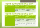 대학교법인화국립대 법인화국립대 법인화 배경국립대 법인화 장단점 7페이지
