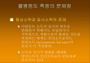소득불평등의 정도는빈곤인구는 얼마나 되는가소득분포의 측정한국의 소득분포소득 불평등과 빈곤불평등도 측정의 문제점 9페이지