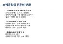 소비문화산업사회의 문화변동뉴저널리즘소비문화 저널리즘소비문화와 신문의 변화 19페이지