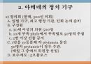 아테네 민주정의민주 정치사아테네의 정치 기구아고라의 역할프닉스 민회장정치적 역할디오니소스 극장 4페이지