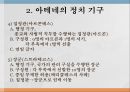 아테네 민주정의민주 정치사아테네의 정치 기구아고라의 역할프닉스 민회장정치적 역할디오니소스 극장 5페이지