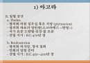 아테네 민주정의민주 정치사아테네의 정치 기구아고라의 역할프닉스 민회장정치적 역할디오니소스 극장 9페이지