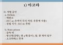 아테네 민주정의민주 정치사아테네의 정치 기구아고라의 역할프닉스 민회장정치적 역할디오니소스 극장 11페이지
