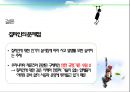 짚 라인짚라인의 의미짚라인의 선정동기짚라인의 유래짚라인의 종류짚라인의 문제점국내외 짚라인 15페이지