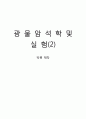 광물 박편 실험 1페이지