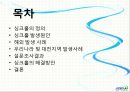 대전지역 싱크홀 발생 현상원인 및 해결 방안 3페이지
