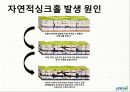 대전지역 싱크홀 발생 현상원인 및 해결 방안 6페이지