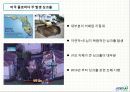 대전지역 싱크홀 발생 현상원인 및 해결 방안 9페이지
