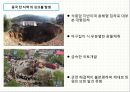 대전지역 싱크홀 발생 현상원인 및 해결 방안 10페이지