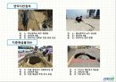 대전지역 싱크홀 발생 현상원인 및 해결 방안 13페이지