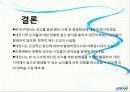 대전지역 싱크홀 발생 현상원인 및 해결 방안 23페이지