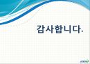 대전지역 싱크홀 발생 현상원인 및 해결 방안 25페이지