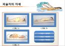 컨디셔닝 스포츠마사지 테이핑 21페이지