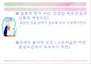 아랍의 여성문제&히잡 20페이지