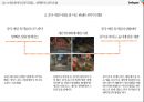 스마일게이트의 중국진출 28페이지