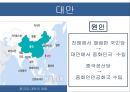 코소보 분쟁독립 투쟁걸프전쟁쿠릴열도분쟁 32페이지