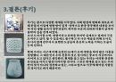 조선 도자기백자 병백자 주전자백자 반합백자 철화포도문호 19페이지