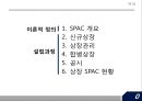 합병을 목적으로 하는 회사SPAC 2페이지