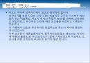 독도 5페이지